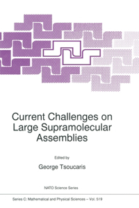 Current Challenges on Large Supramolecular Assemblies