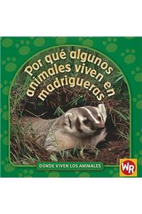 Por Qué Algunos Animales Viven En Madrigueras (Why Animals Live in Burrows)