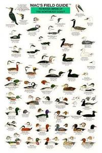 Mac's Field Guides: Northeast Coastal Water Birds