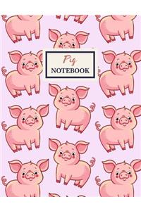 PIG Notebook