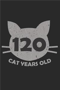 120 Cat Years Old