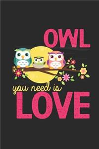 Owl You Need Is Love