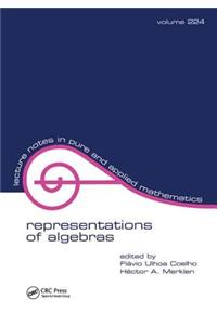 Representations of Algebras