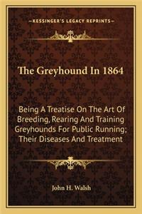The Greyhound In 1864