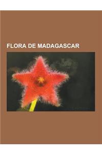 Flora de Madagascar: Pachypodium Baronii, Prunus Africana, Catharanthus Roseus, Adansonia, Erythrina Fusca, Euphorbia MILII, Angraecum Sesq