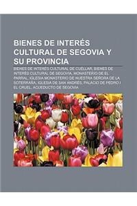 Bienes de Interes Cultural de Segovia y Su Provincia