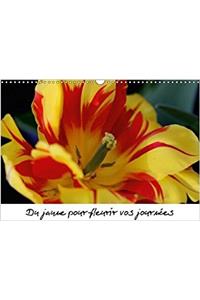 Du Jaune Pour Fleurir Vos Journees 2018