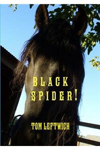 Black Spider !