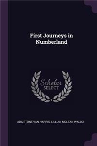 First Journeys in Numberland