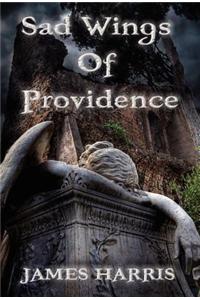 Sad Wings of Providence