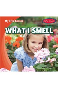 What I Smell