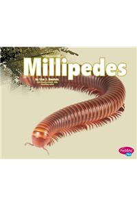 Millipedes