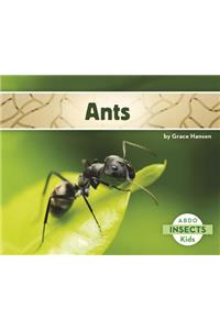 Ants