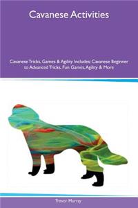 Cavanese Activities Cavanese Tricks, Games & Agility Includes: Cavanese Beginner to Advanced Tricks, Fun Games, Agility & More