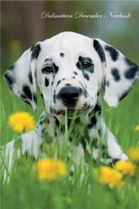 Dalmatian December Notebook Dalmatian Record, Log, Diary, Special Memories, to Do List, Academic Notepad, Scrapbook & More