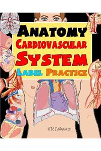 Anatomy Cardiovascular System Label Practice