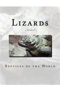 Lizards Notebook