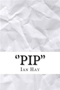 ''pip''