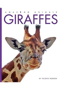 Giraffes