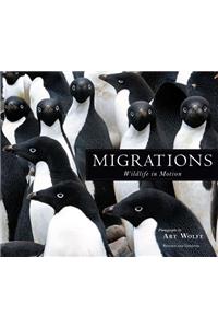 Migrations
