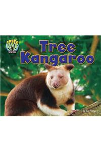 Tree Kangaroo