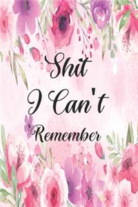 Shit I Can't Remember