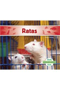 Ratas (Rats) (Spanish Version)