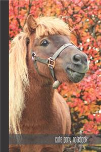 cute pony notebook