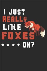 I just Really Like Foxes, Ok?