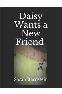 Daisy Wants a New Friend