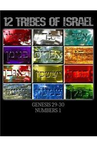 Hebrew Israelite Books