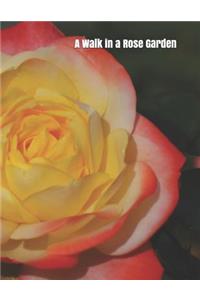 A Walk in a Rose Garden
