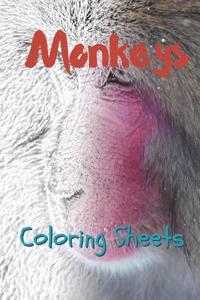 Monkey Coloring Sheets