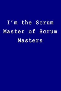 I'm the Scrum Master of Scrum Masters