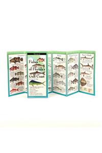 Fishes of the Florida's Gulf Coast