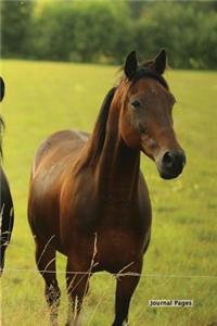 Journal Pages - Horse Design (Unruled)