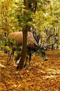 Deer in an Autumn Wood Journal