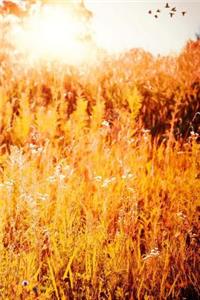 Sunset Girl Notebook