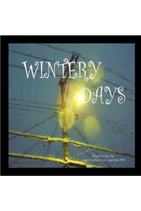 Wintery Days