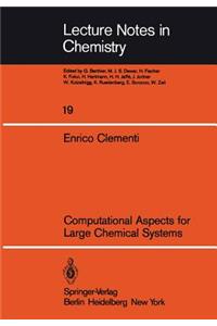 Computational Aspects for Large Chemical Systems