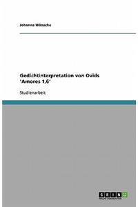 Gedichtinterpretation von Ovids 'Amores 1,6'