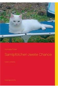 Samtpfötchen zweite Chance