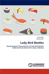 Lady Bird Beetles