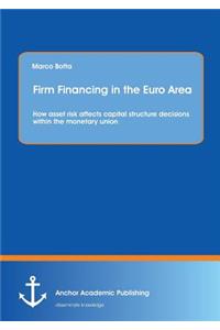Firm Financing in the Euro Area