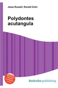Polydontes Acutangula