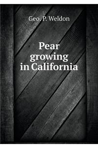 Pear growing in California