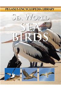 Sea Birds