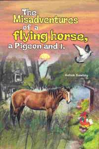 The Misadventures of a flying horse, a Pigeon and I
