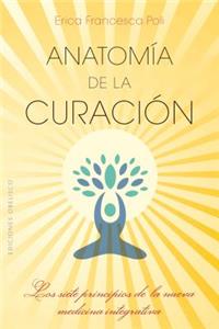 Anatomia de la Curacion