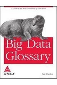 Big Data Glossary